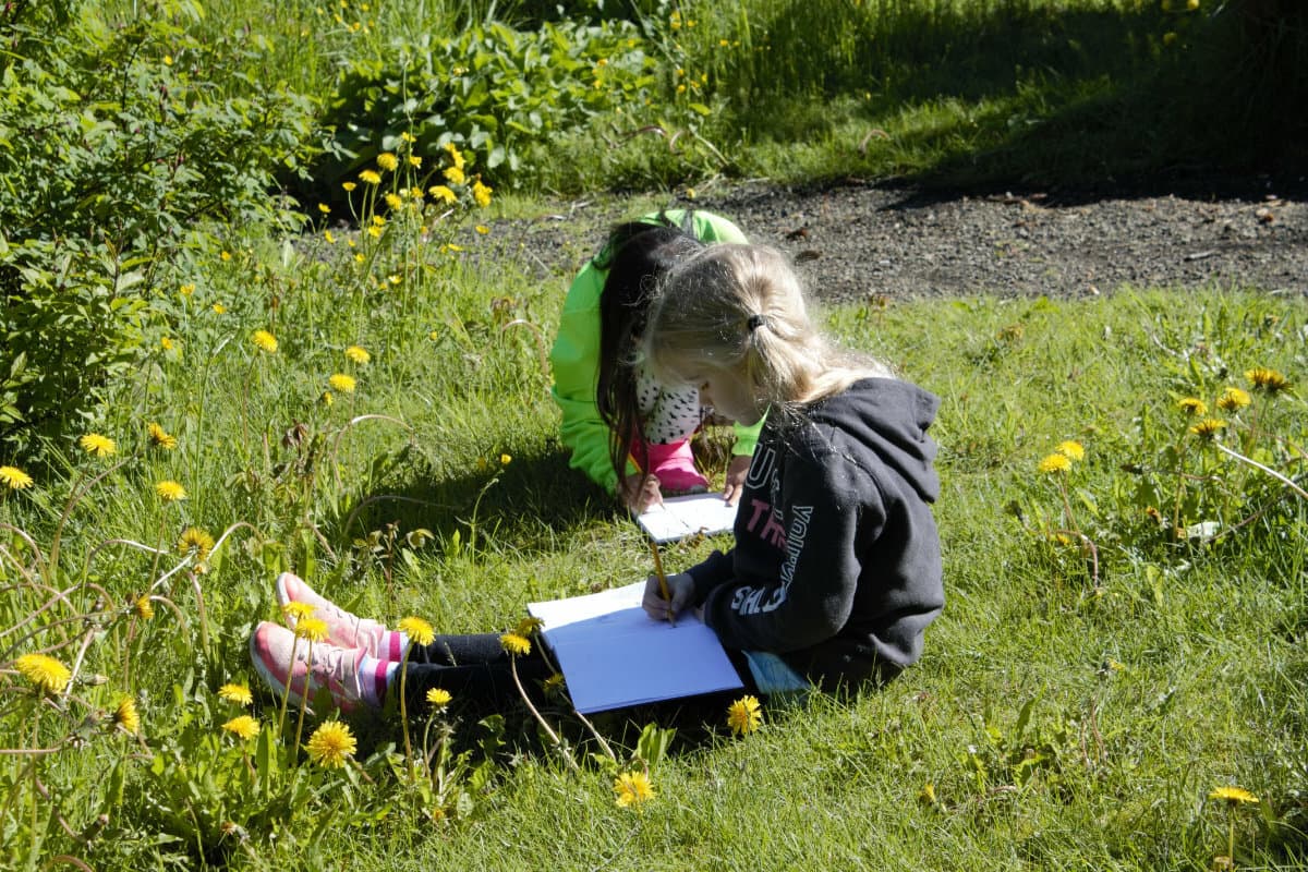 Barnanámskeið IC mynd 1